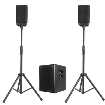 900W 10 inç Aktif Subwoofer Dizi Çizgi hoparlör Profesyonel ses karaoke setleri sistemi DJ / PA parti Ses kutusu Bocina Parlante