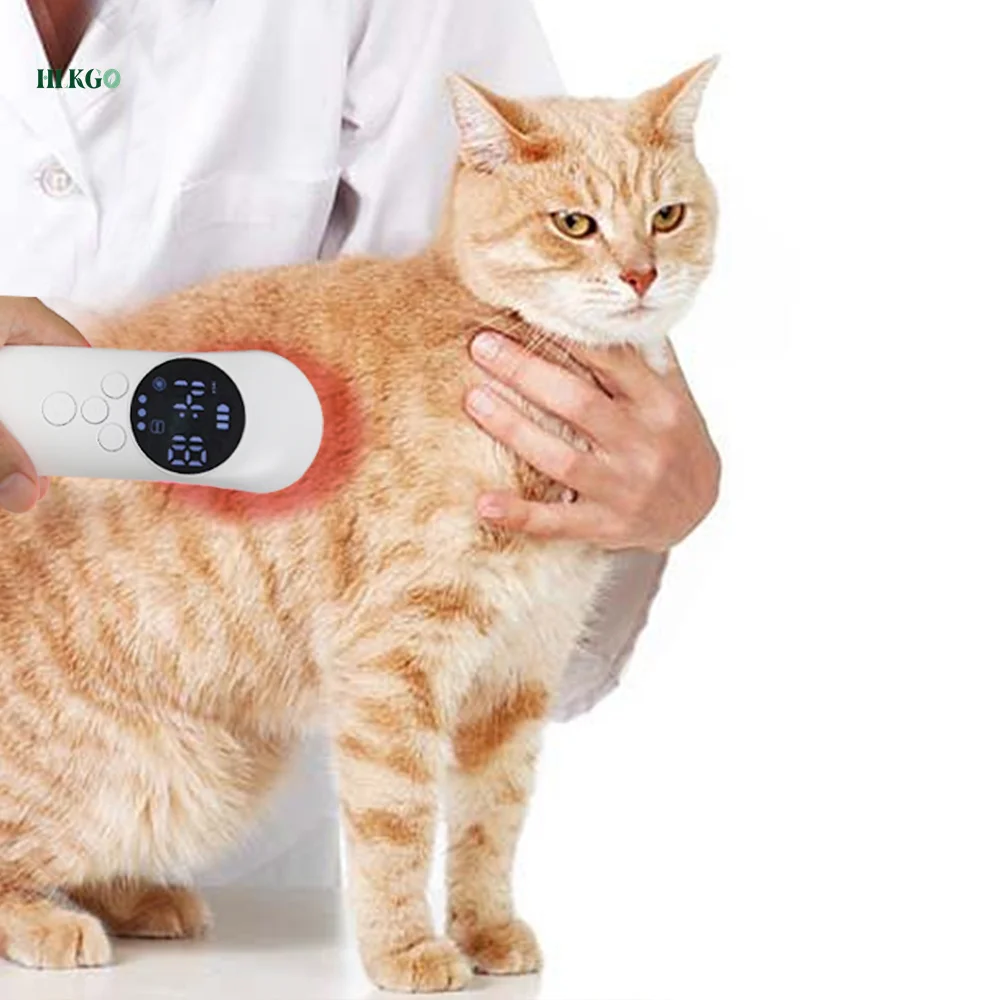 köpek kedi pet cilt hastalığı vücut masajı lazer Pet bakım soğuk lazer tedavisi fiziksel lllt ağrı kesici cihaz - 1