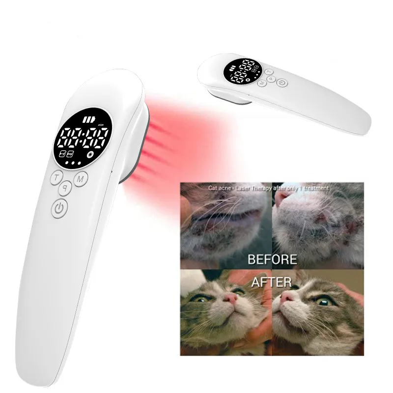 köpek kedi pet cilt hastalığı vücut masajı lazer Pet bakım soğuk lazer tedavisi fiziksel lllt ağrı kesici cihaz - 2