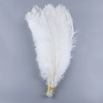 Toptan Zarif Beyaz 200 adet Devekuşu Tüyü Düğün Parti Malzemeleri Karnaval Dansçı Dekorasyon plumas